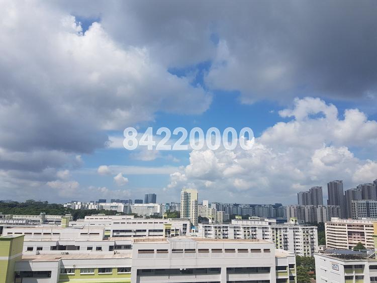Hillview Regency (D23), Condominium #149669672